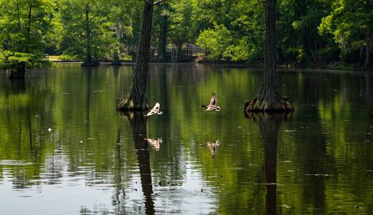 Sumter, SC